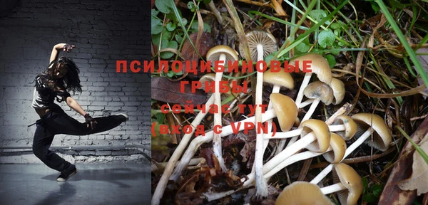 мет Горно-Алтайск