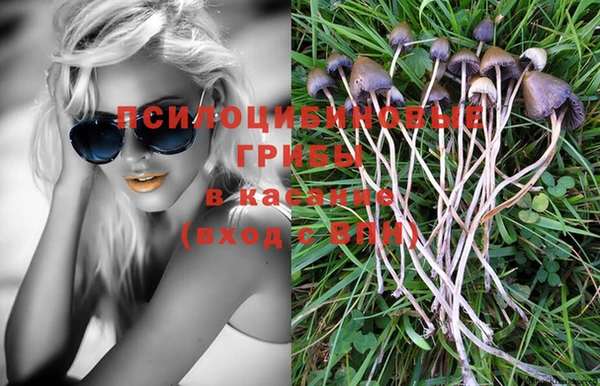 дурь Горнозаводск