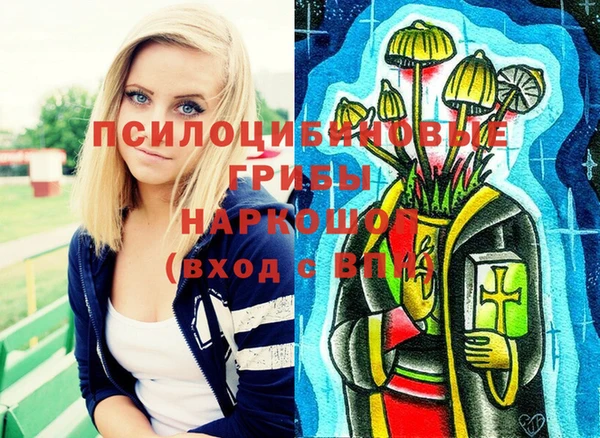 spice Горняк