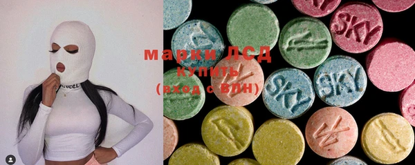 spice Горняк