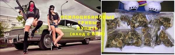 мет Горно-Алтайск