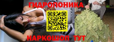 соль курить ск Пугачёв