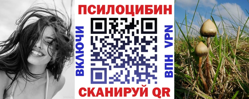 Галлюциногенные грибы Cubensis Одинцово