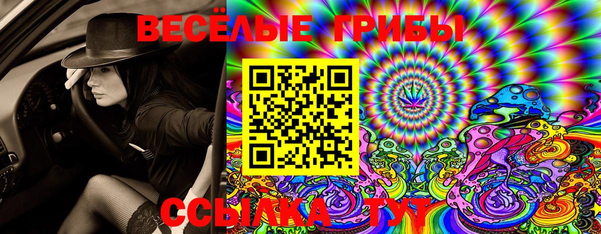 Галлюциногенные грибы Cubensis  Галлюциногенные грибы прущие грибы  Вход с VPN  Одинцово 
